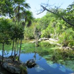 Cenote Azul in Mexiko