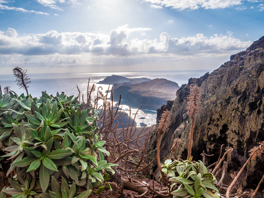 Madeira Urlaub: São Lourenço